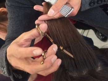 ヘアリセッター